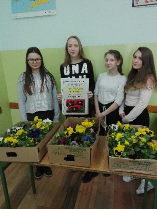 1558_bratki2018 (1)